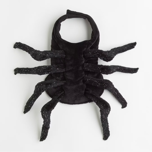 NWT H&M Pet Spider Costume Size Medium - Picture 1 of 10